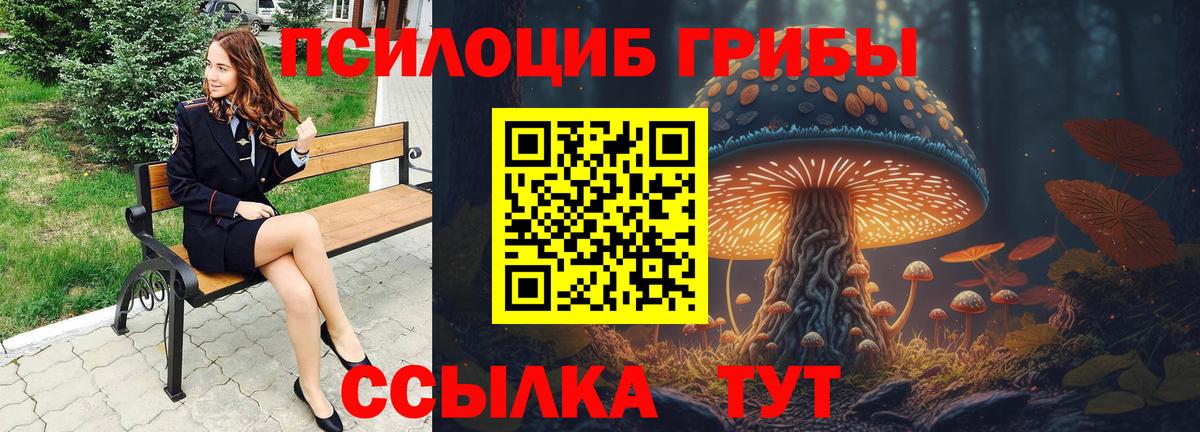 Галлюциногенные грибы MAGIC MUSHROOMS  Вход с VPN  Волгодонск  Псилоцибиновые грибы Magic Shrooms 