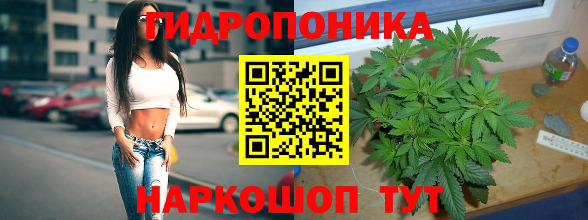 Волгодонск  Конопля THC 21%  Марихуана сатива  Вход с VPN  Конопля VHQ  Каннабис MAZAR 